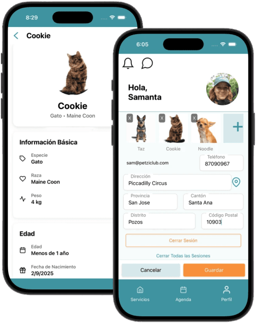 Gestión de Perfiles y Mascotas